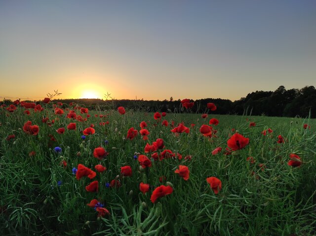 EkstraktPrzyjemnosci