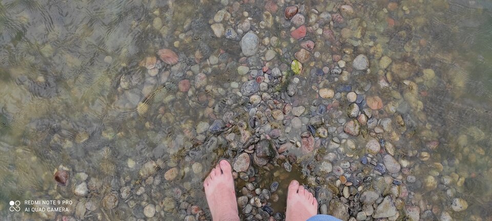 IMG_20210612_141507.jpg - Wektor66