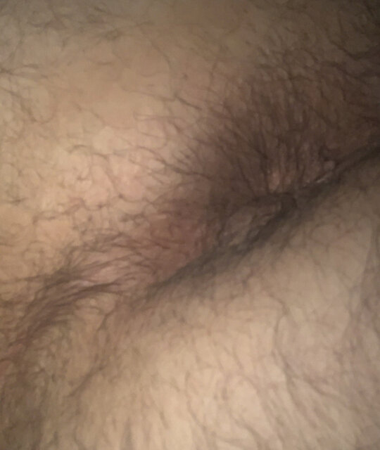 F46F465A-E5AC-4445-AAE9-78423A19AF46.jpeg - homobear