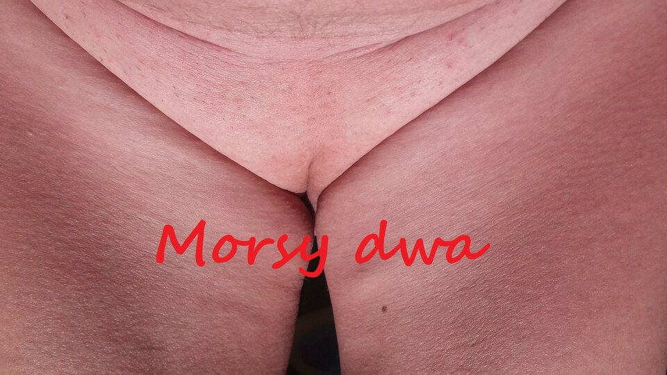 Morsica. - Morsy_dwa