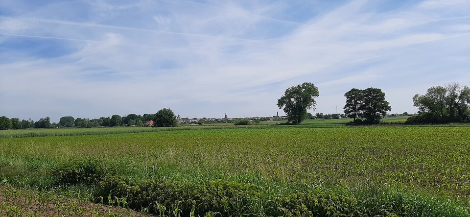 16237454537895549243398822445602.jpg - Mich1977