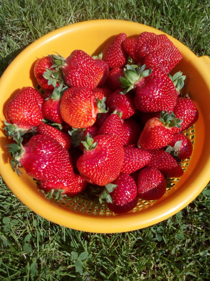 IMG_20210611_161118.jpg - DajeWam