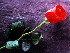 IMG_20210501_121946~2.jpg