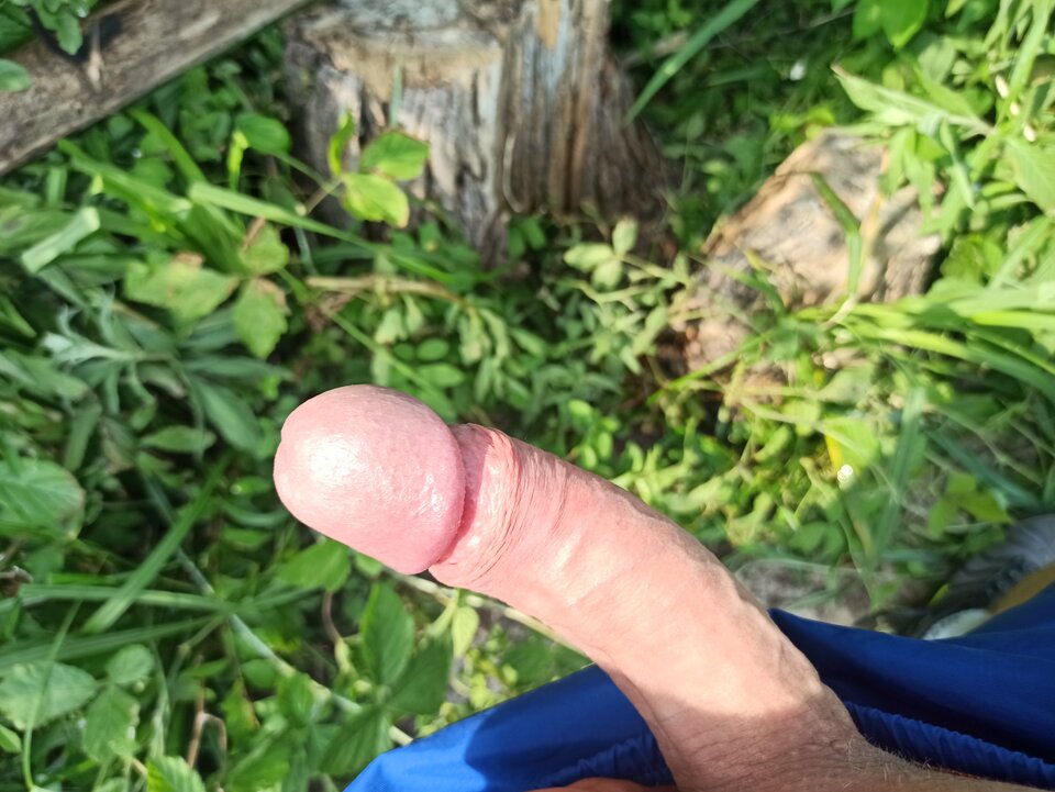 1623854199108..jpg - SympatycznyPan91