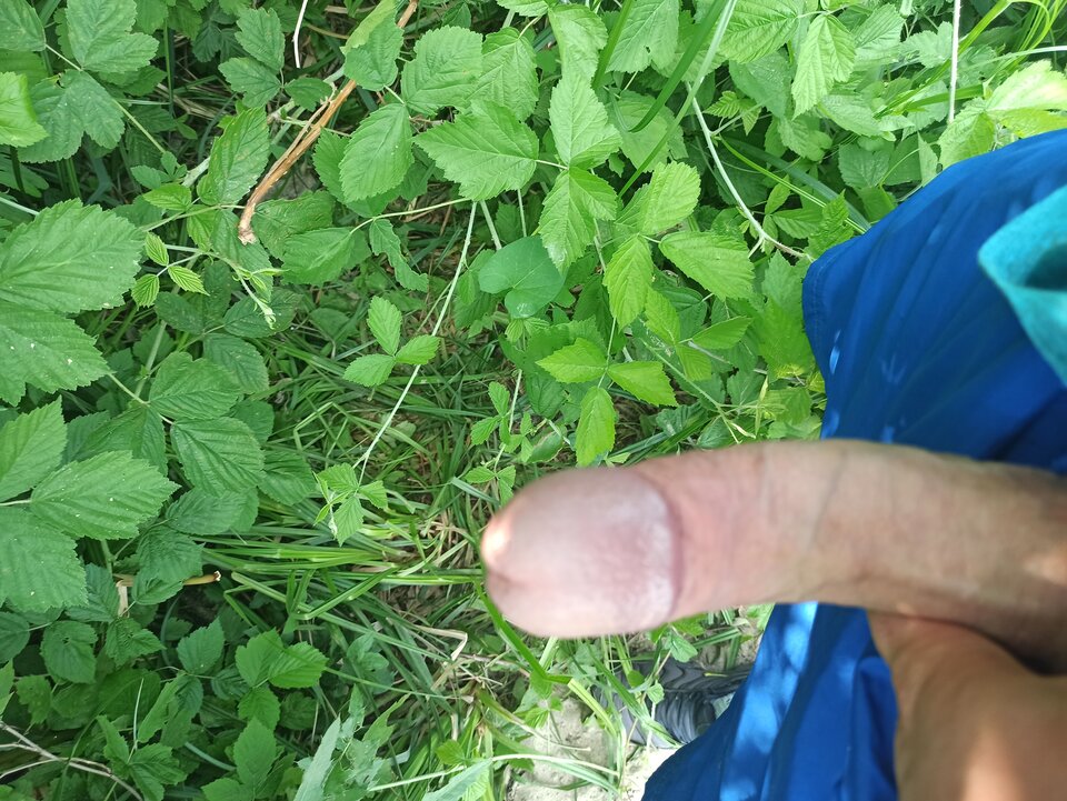 1623858082872..jpg - SympatycznyPan91