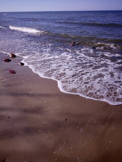 IMG_20210616_163031.jpg
