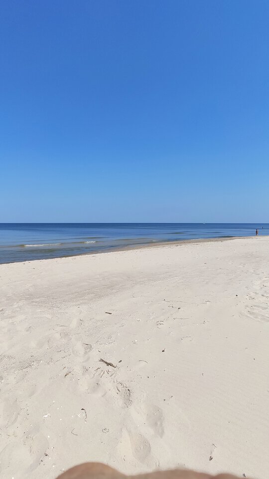 IMG_20210617_115526.jpg - my_lwy