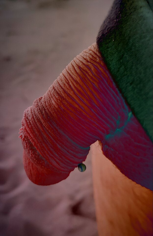 Polish_20210608_022952920.jpg - Kondziu21