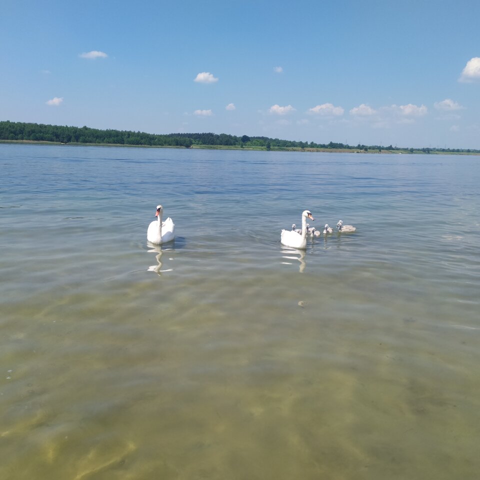 IMG_20210618_121705.jpg - Malz55