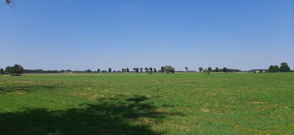 16240164149177854622123465925318.jpg - Mich1977