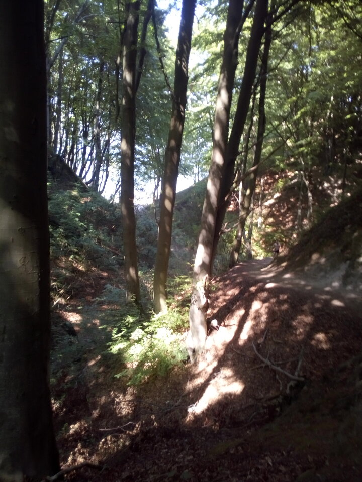 IMG_20210618_152239.jpg - 9locyz9