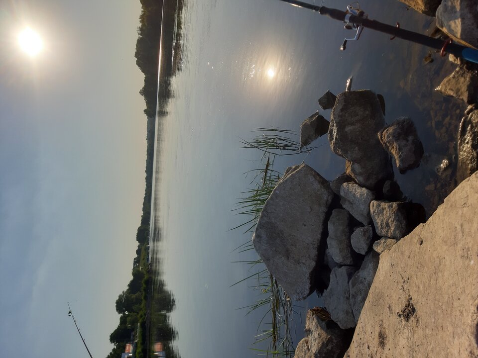 20210618_185421.jpg - mgulczas1