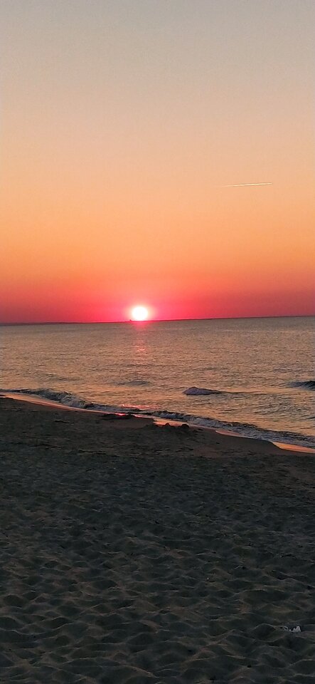 IMG_20210617_211424.jpg - ParkaGdansk69