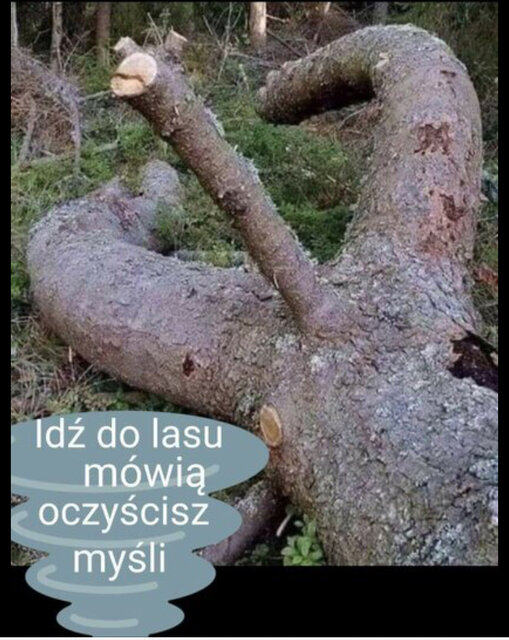ta... - OnaOnRadom