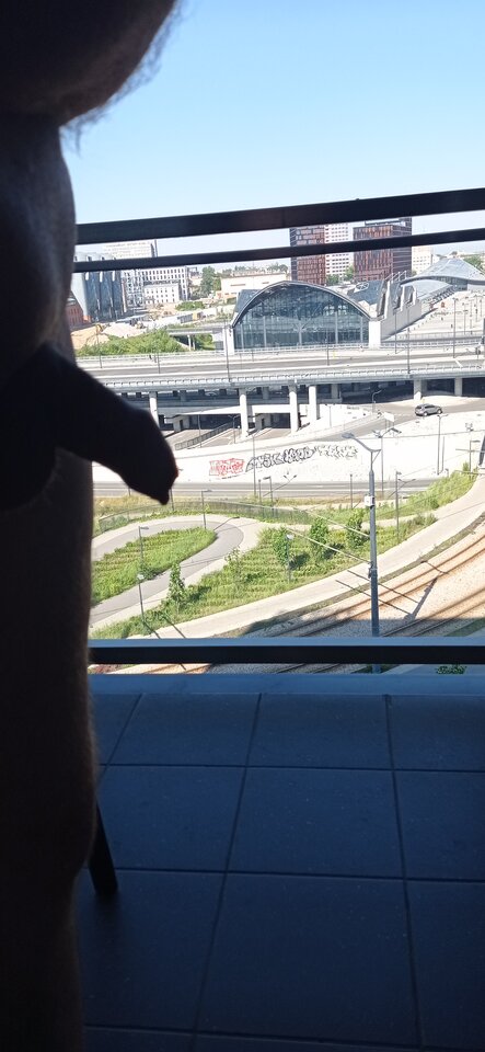 16240860106568344818462235242024.jpg - dupekalex