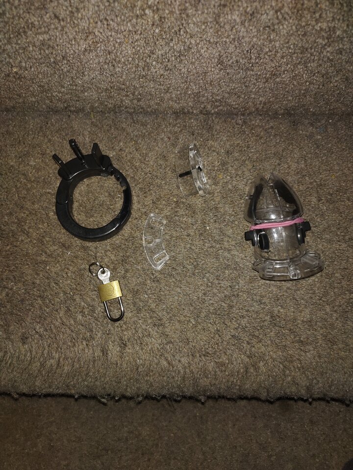 Zakładać? - widzget