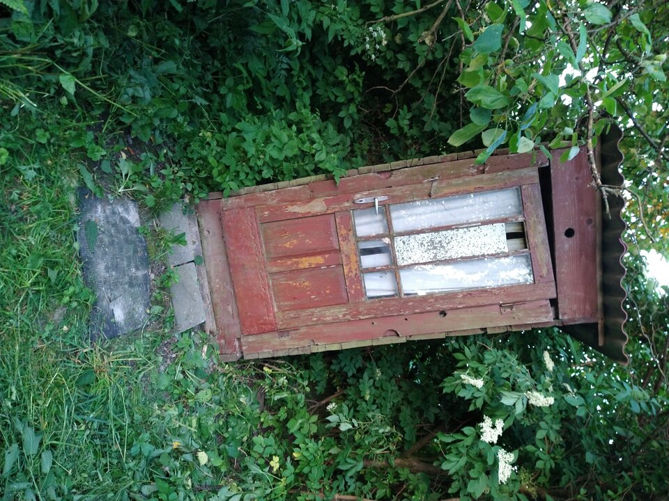 IMG_20210619_201628134.jpg - piotrlub