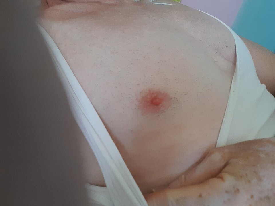 16241852052636818528632676679722.jpg - Palciusia