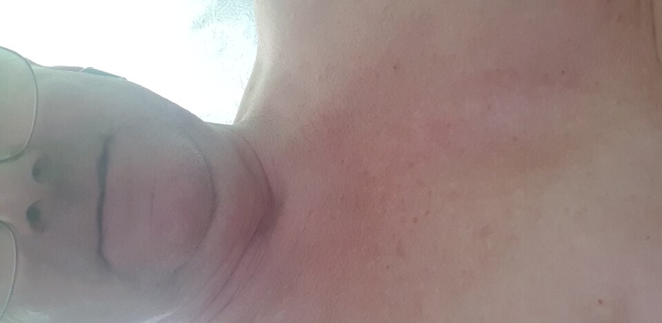 16241902710606565210105283238196.jpg - MilutkiKotek