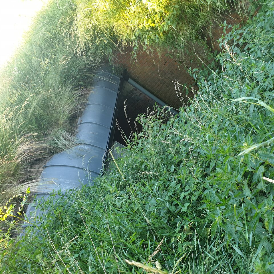 20210619_191424.jpg - MilutkiKotek