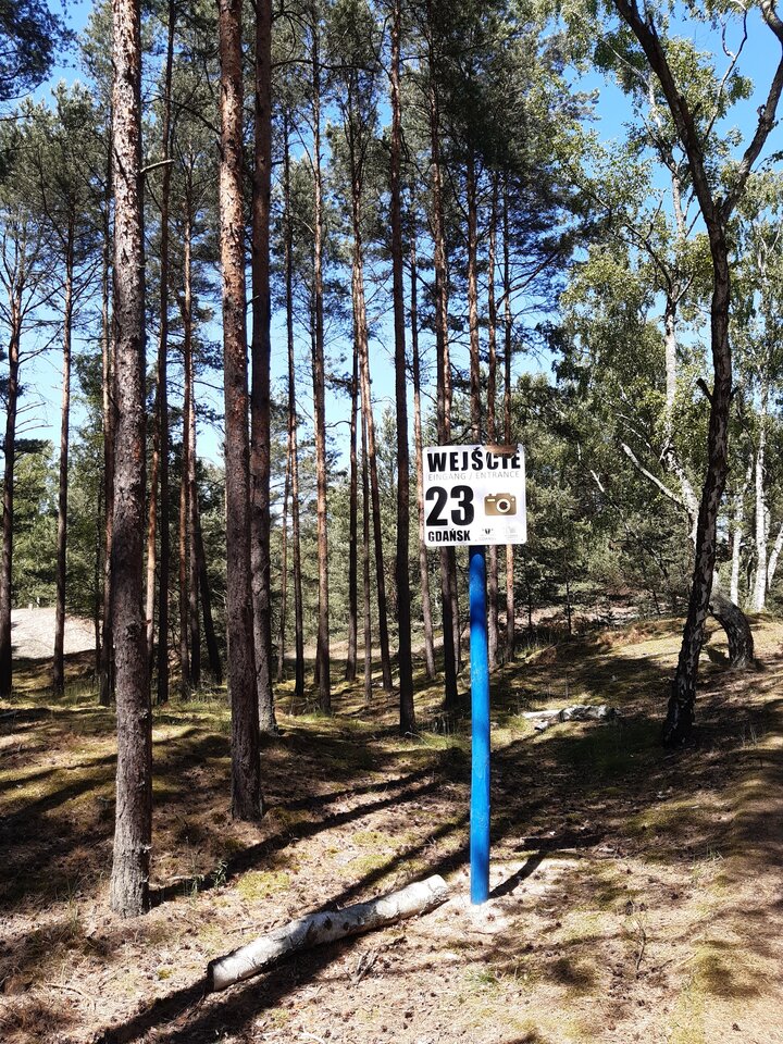 Plazujemy.jpg - liboom