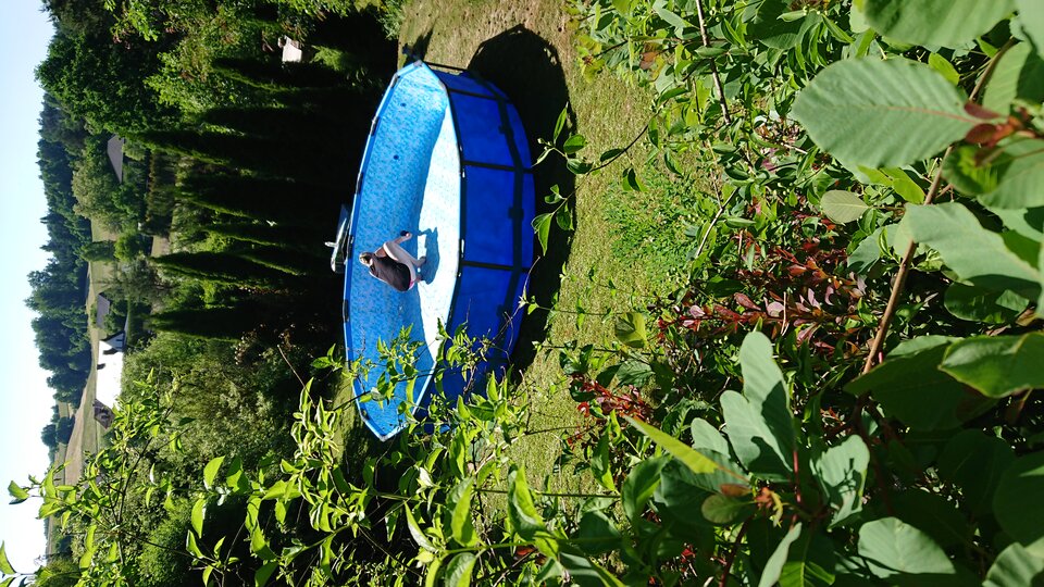 DSC_1984.JPG - arahja