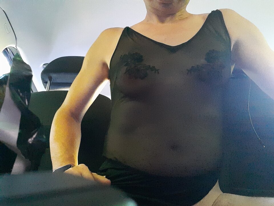 16241980346097856561038714616379.jpg - Palciusia