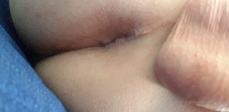 16242013264785474607900174271739.jpg - 20cmONbi