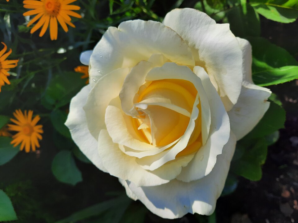 20210620_100655.jpg - Lagertaa