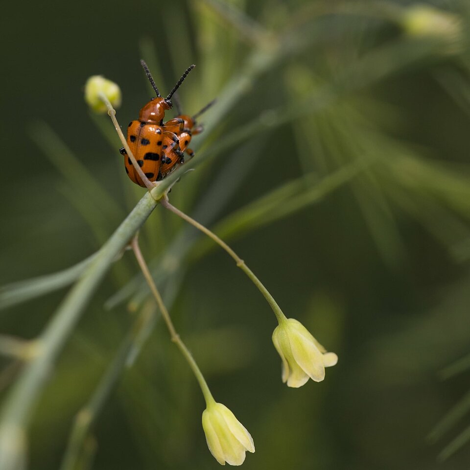 IMG_20210620_183006_465.jpg - xduchx