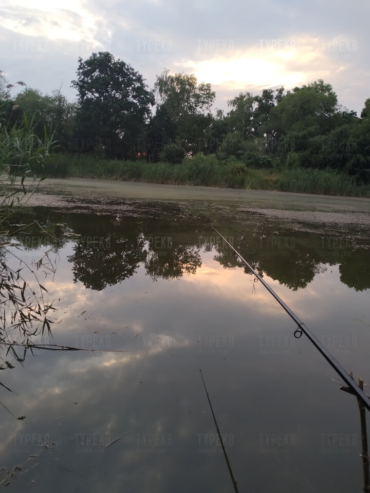 16242154329394181058162054086294.jpg - Typek8