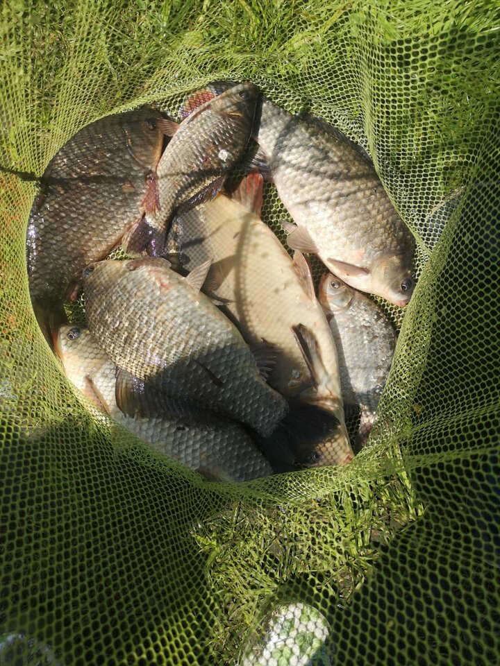 IMG-20210620-WA0000.jpg - rafi07