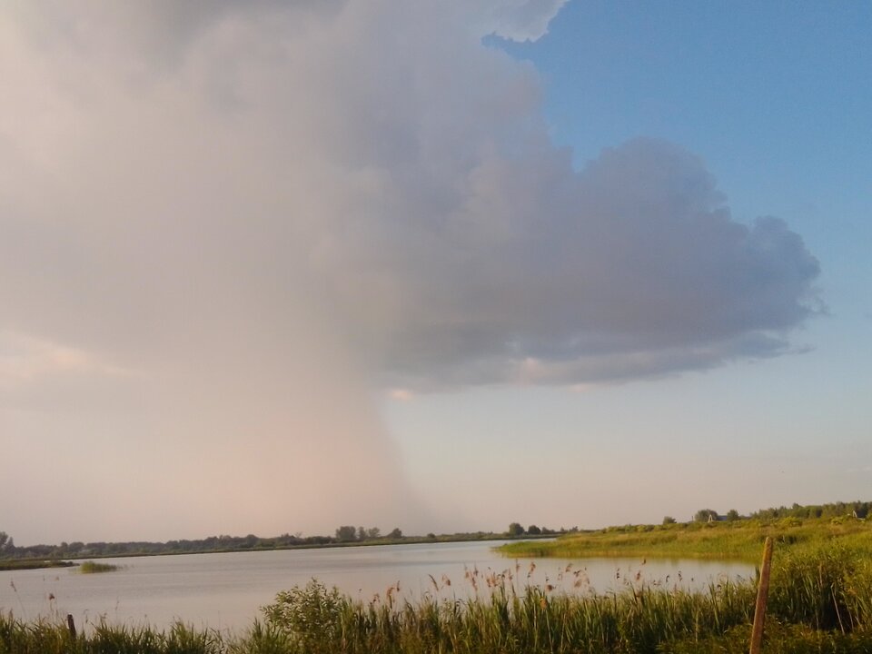 IMG_20210619_190025_HDR.jpg - davidofv