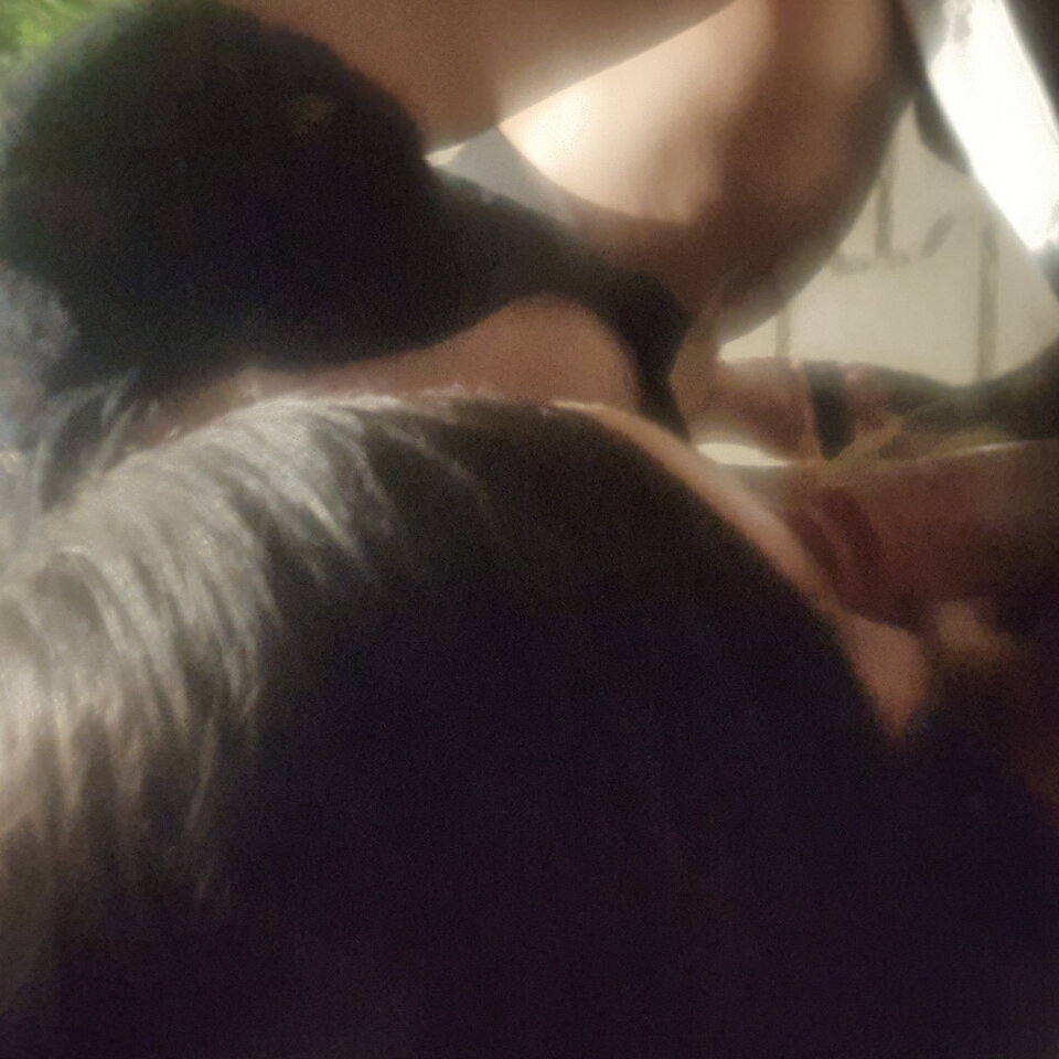 20210619_013358.jpg - ciekawi_zycia2