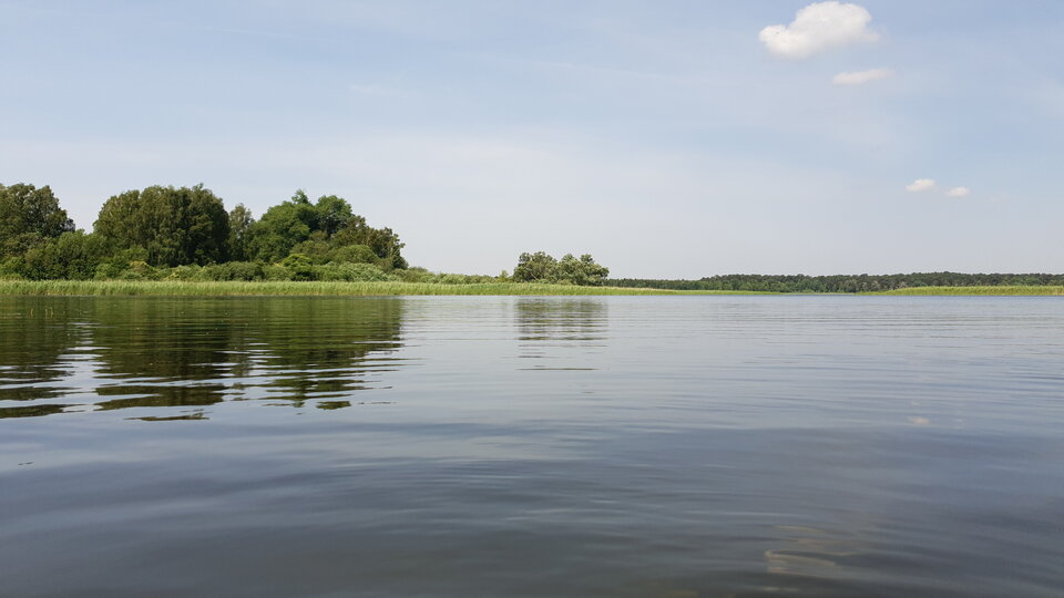 20210621_103944.jpg - irek23037323