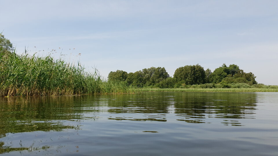 20210621_103941.jpg - irek23037323