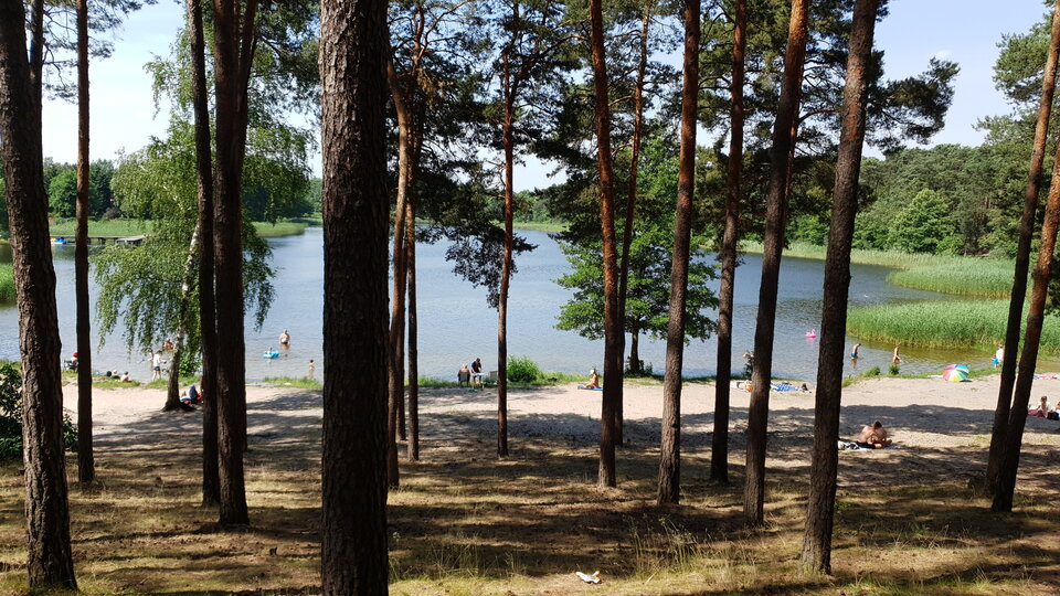 20210621_110334.jpg - irek23037323
