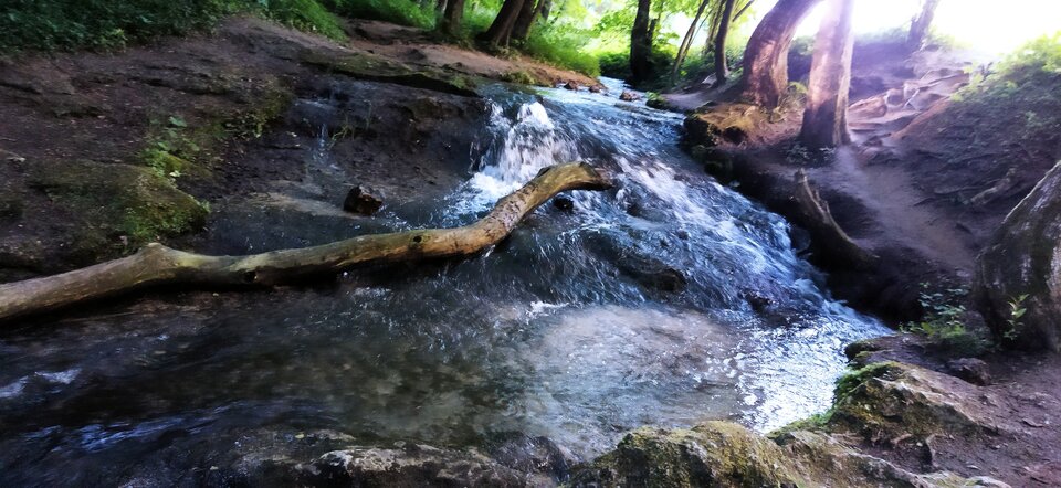 IMG_20210620_184658.jpg - MattVegass