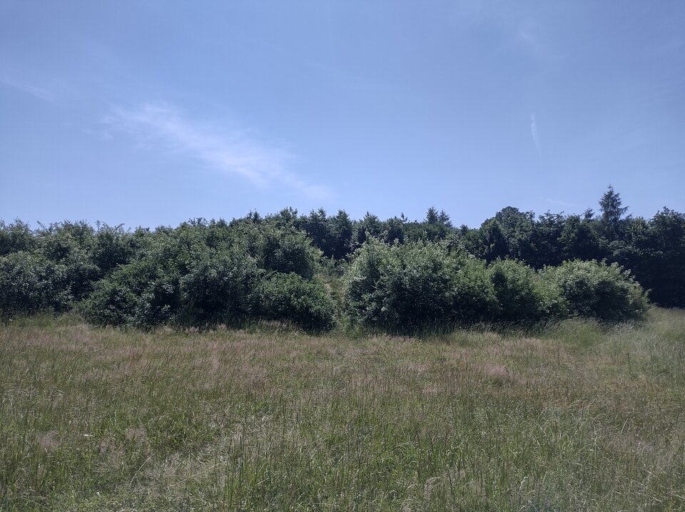 IMG_20210621_105843766_HDR.jpg - Paolo67