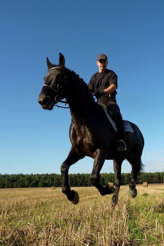 ac59f7c0ae.jpeg - Kojotwilk26