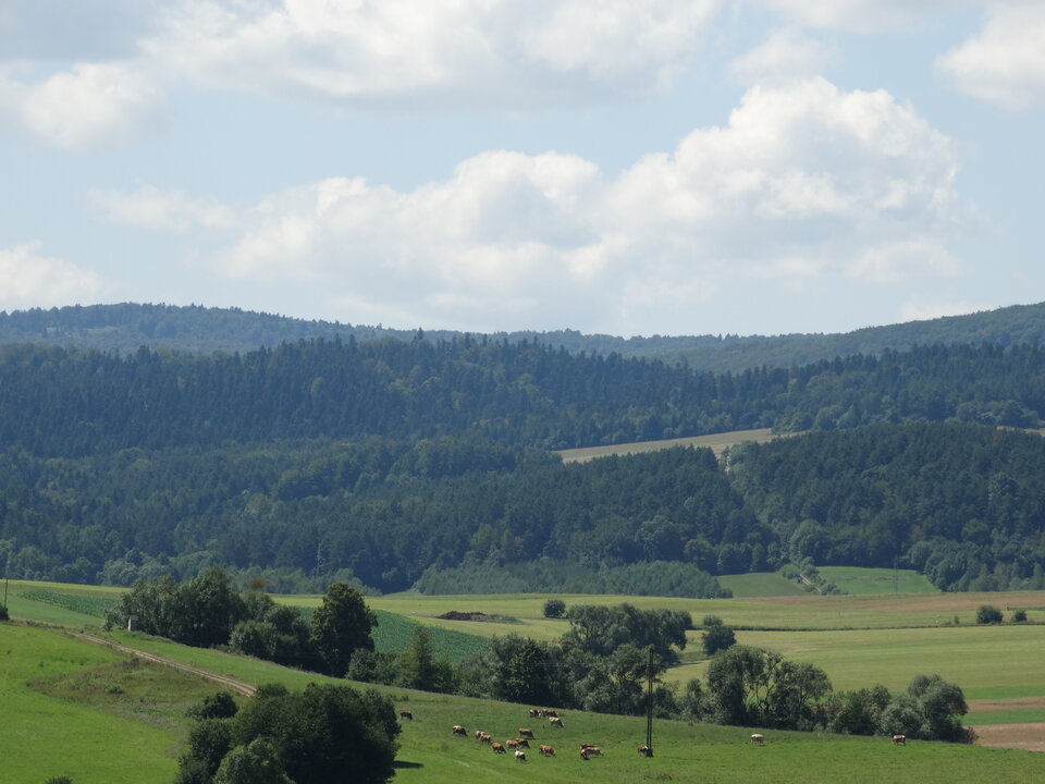 DSC01018.JPG - Bieszczzzad