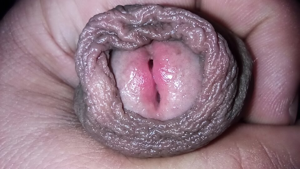 IMG_20210623_001208.jpg - kutasior1987_2