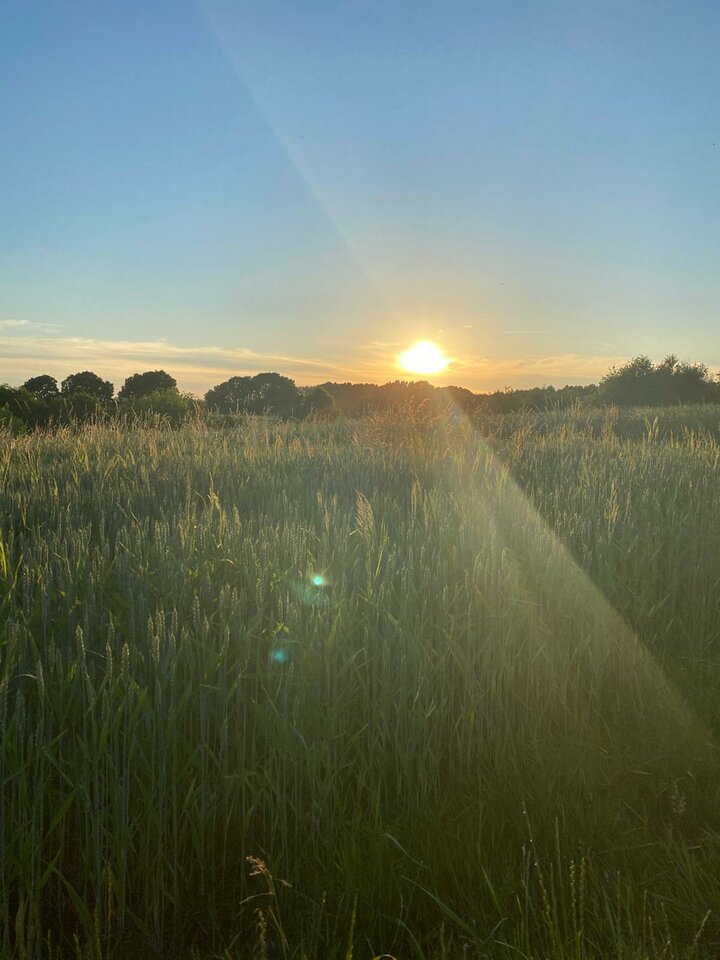 IMG-20210620-WA0007.jpg - MattVegass