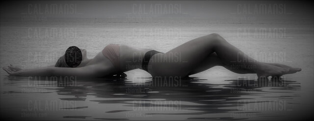 _calamansi_