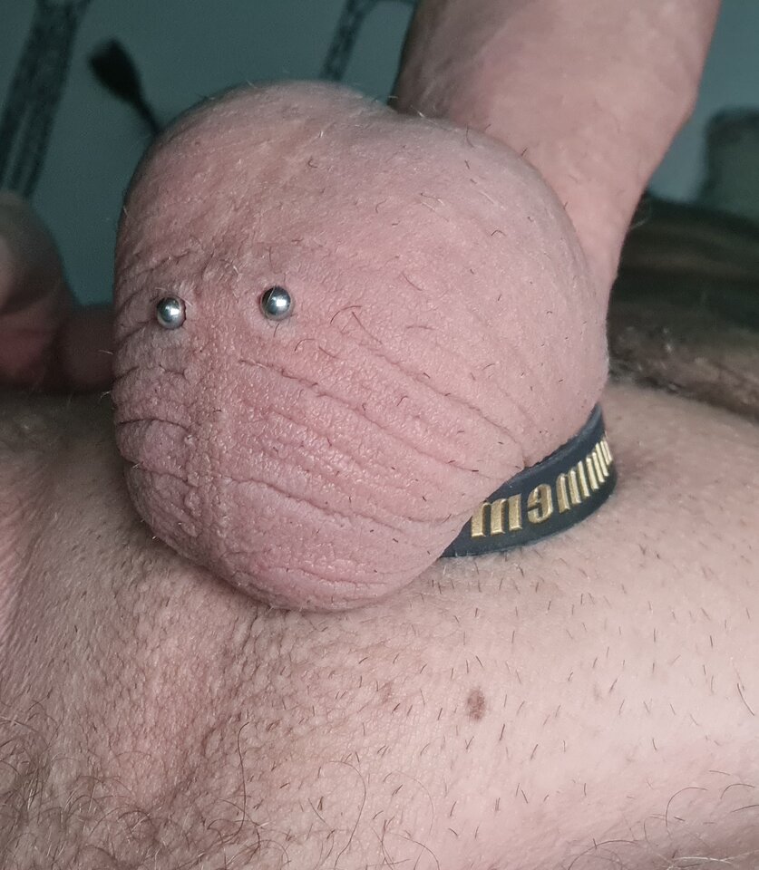 20210318_165221.jpg - giacomo69