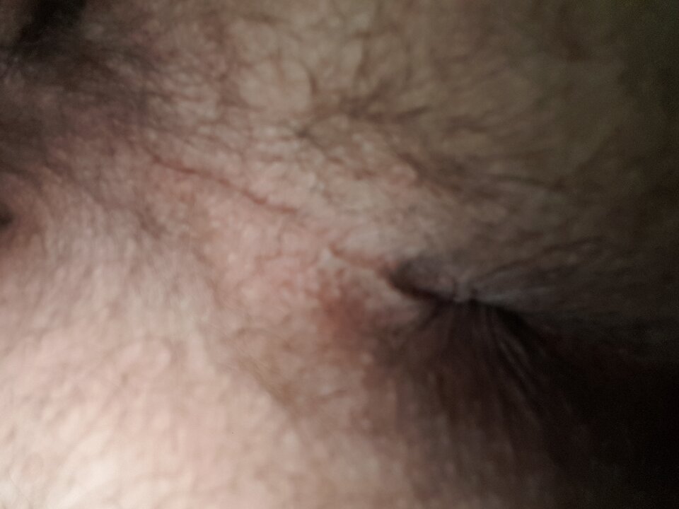 16244855895526872080684089645539.jpg - Dzikusowy