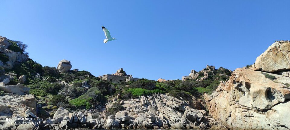 IMG_20210615_164748.jpg - BiMaciek79