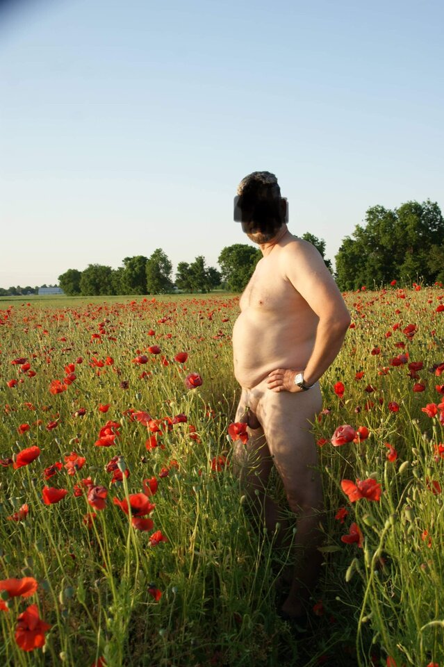 FDCC5447-1501-41B0-814D-136E9B1AA1FB.jpeg - ZorroFRA75