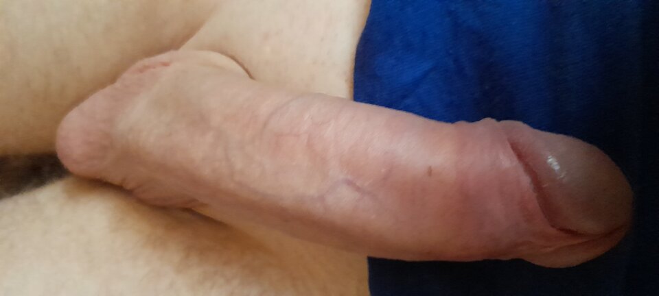 20210624_130242.jpg - wrobelek1983