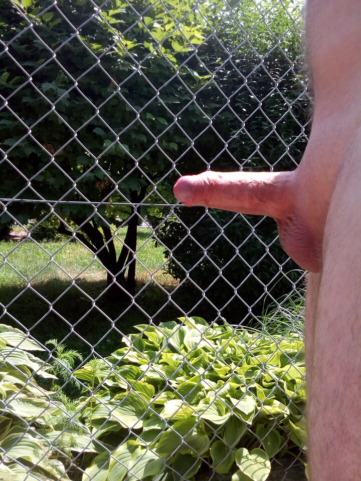 IMG_20210624_114254.jpg - DajeWam